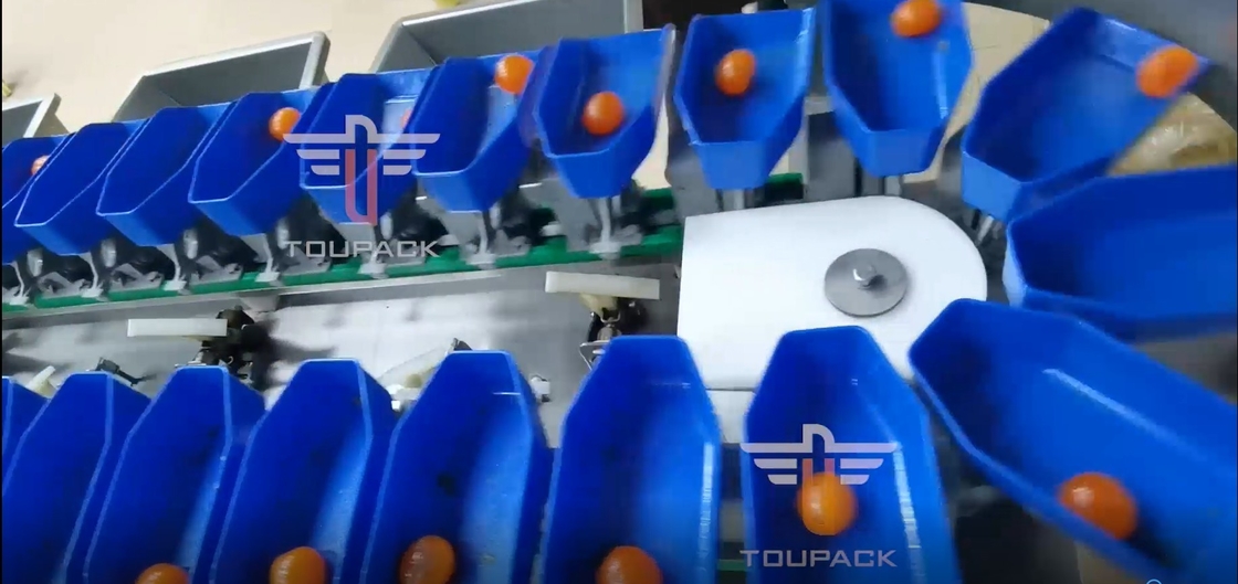 Веса ранга экрана касания машина Multi кругового сортируя для плодов рыб желтка