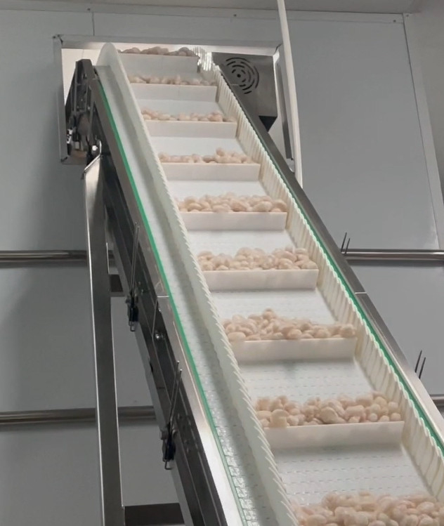 Мастерской креветки машины упаковки Weigher SS 304 вес 200g~1500g цели системы ледяной пакуя
