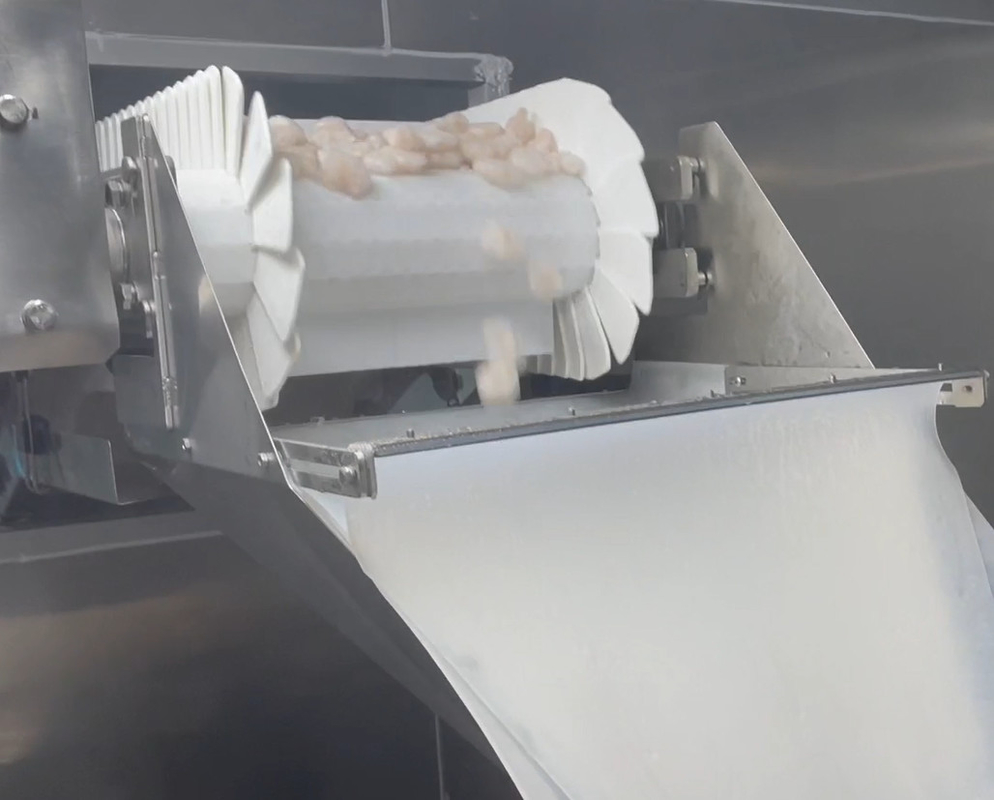Мастерской креветки машины упаковки Weigher SS 304 вес 200g~1500g цели системы ледяной пакуя