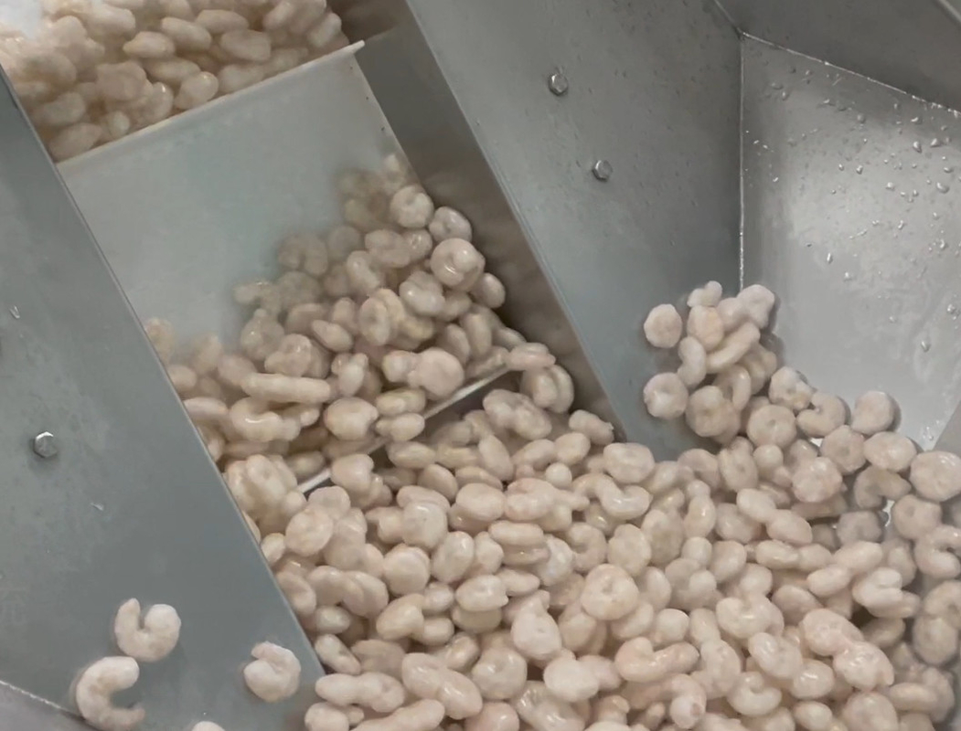 Мастерской креветки машины упаковки Weigher SS 304 вес 200g~1500g цели системы ледяной пакуя