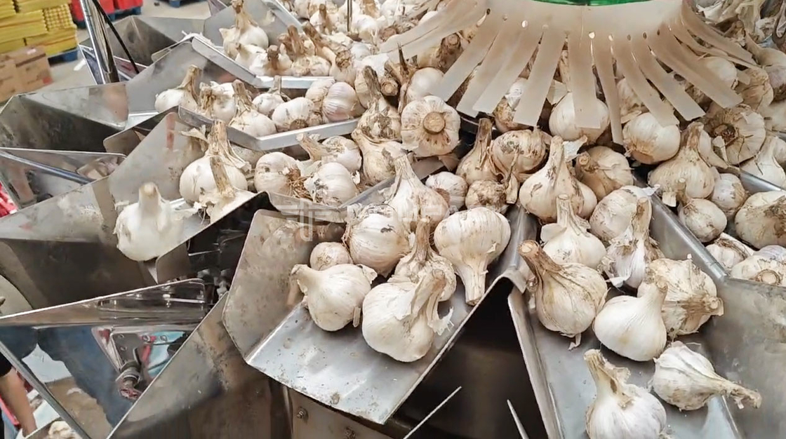 OEM Автоматическая взвешивающая машина Pouch Bean Sprout Coriander Potato Garlic Baby Carrot Packing Machine Автоматическая взвешивающая машина