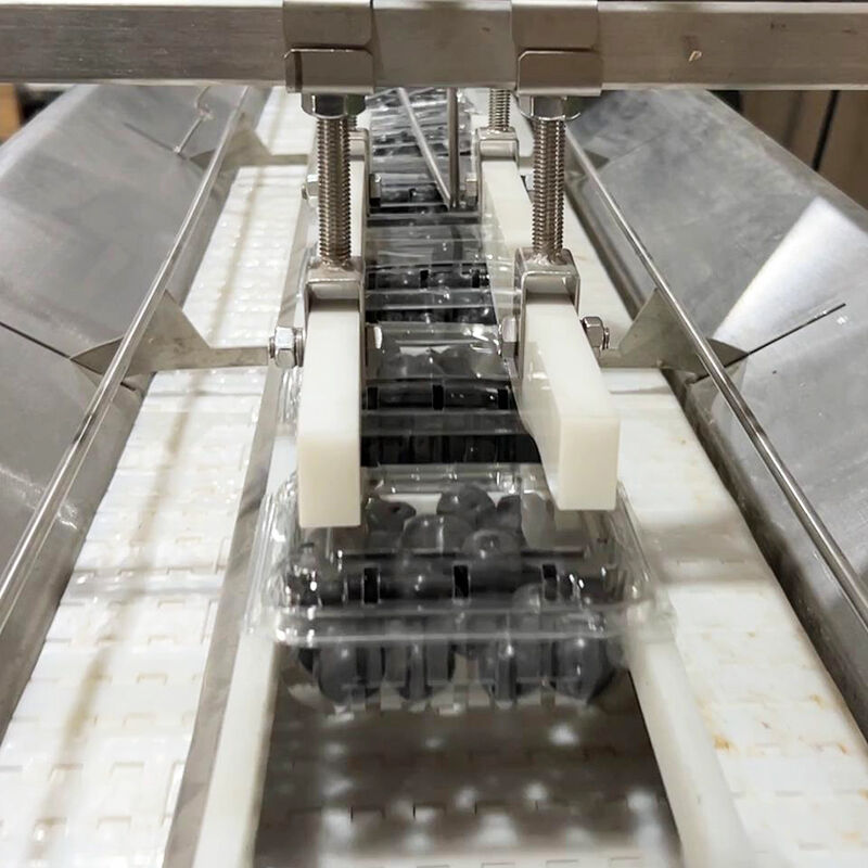 Автоматическая машина для упаковки овощей и замороженных овощей с черникой и помидорами черри, машина для взвешивания и упаковки овощей