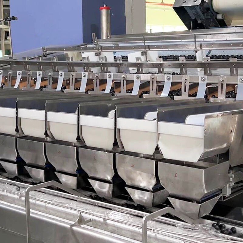 Автоматическая машина для упаковки овощей и замороженных овощей с черникой и помидорами черри, машина для взвешивания и упаковки овощей