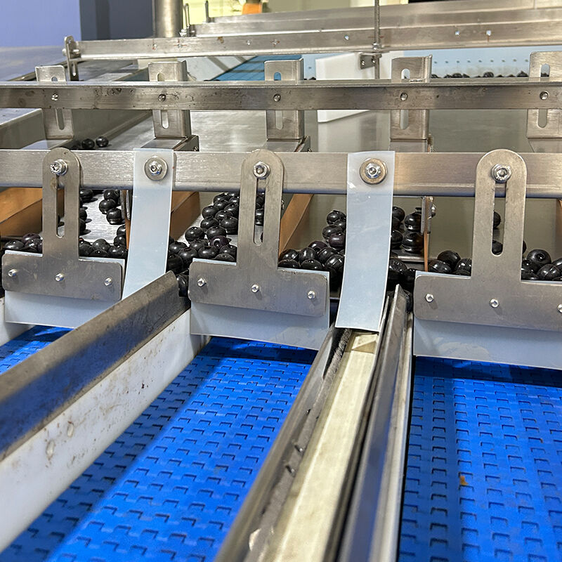 Автоматическая машина для упаковки овощей и замороженных овощей с черникой и помидорами черри, машина для взвешивания и упаковки овощей