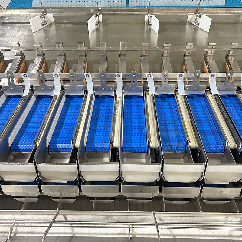 Автоматическая машина для упаковки овощей и замороженных овощей с черникой и помидорами черри, машина для взвешивания и упаковки овощей