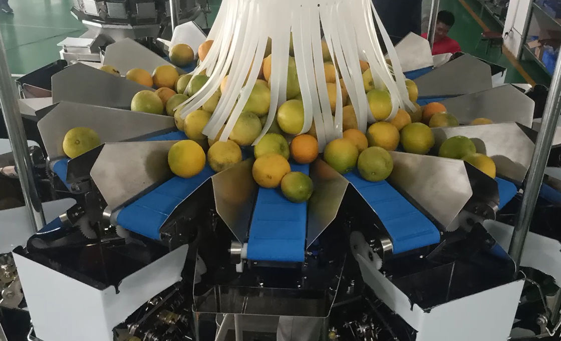 14 главная машина упаковки Weigher Multihead MCU/PLC для Weiging приносит плоды апельсины