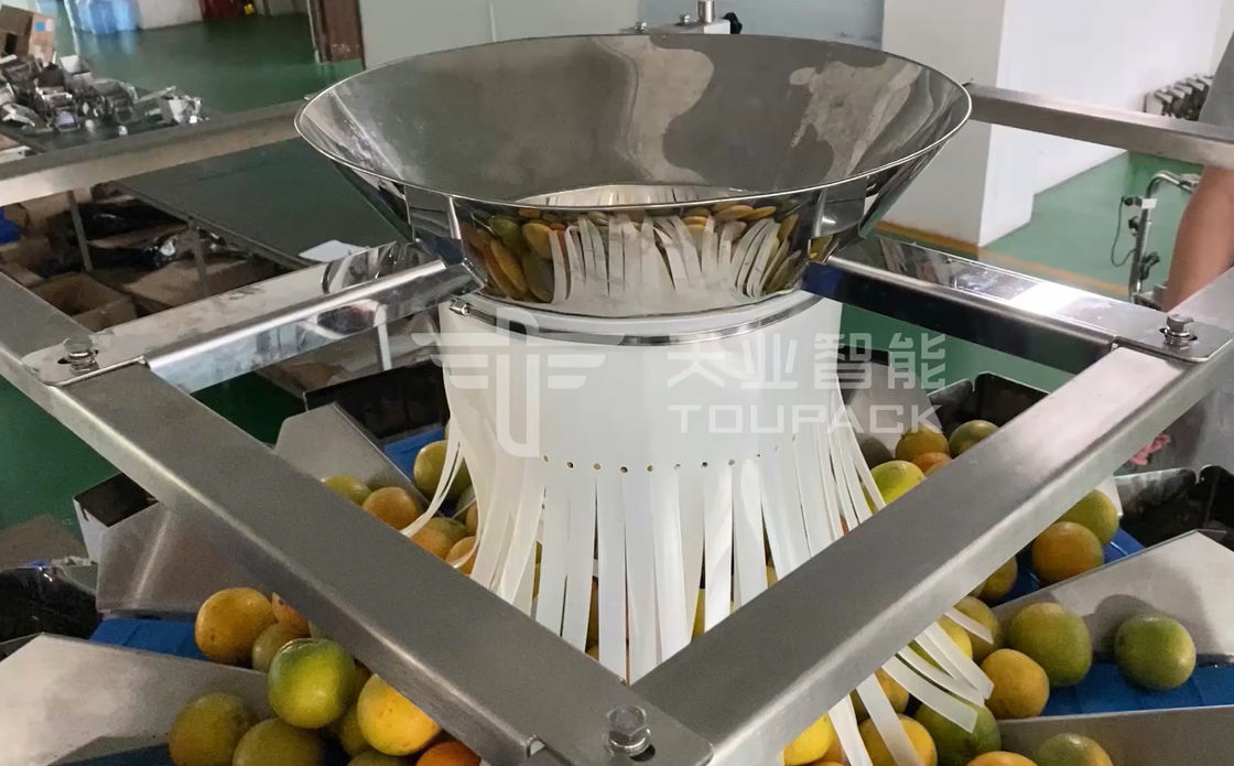 14 главная машина упаковки Weigher Multihead MCU/PLC для Weiging приносит плоды апельсины