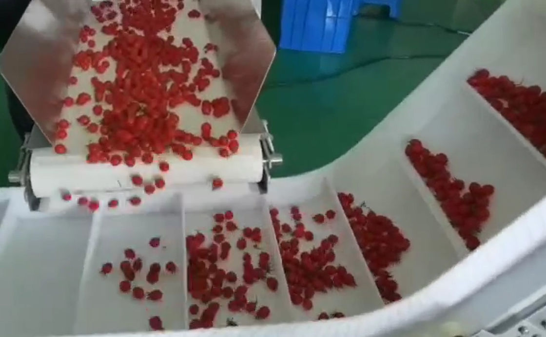 Система весить и упаковки Weigher SUS304 Multihead автоматическая для плодов вишни замороженных в коробках