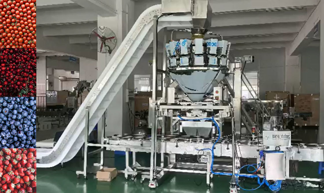 Система весить и упаковки Weigher SUS304 Multihead автоматическая для плодов вишни замороженных в коробках