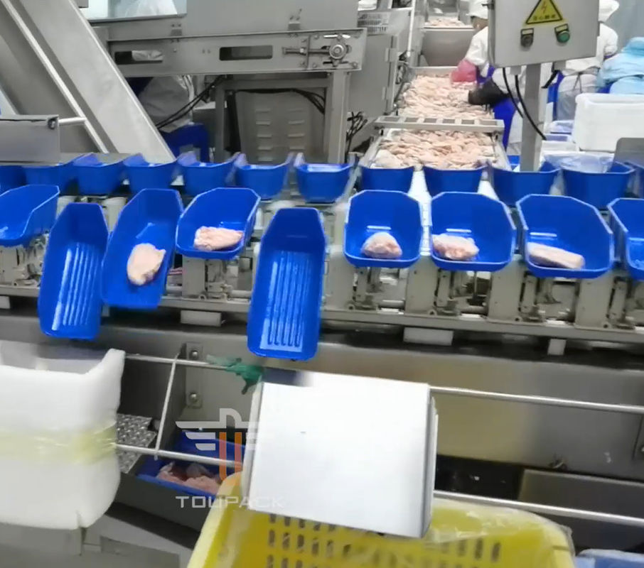 Машина Multi главного веса циркуляра безопасности сортируя для 300 раз продукта моря/минута