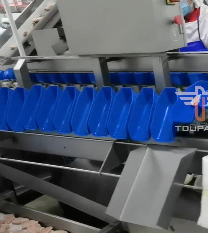 Машина Multi главного веса циркуляра безопасности сортируя для 300 раз продукта моря/минута