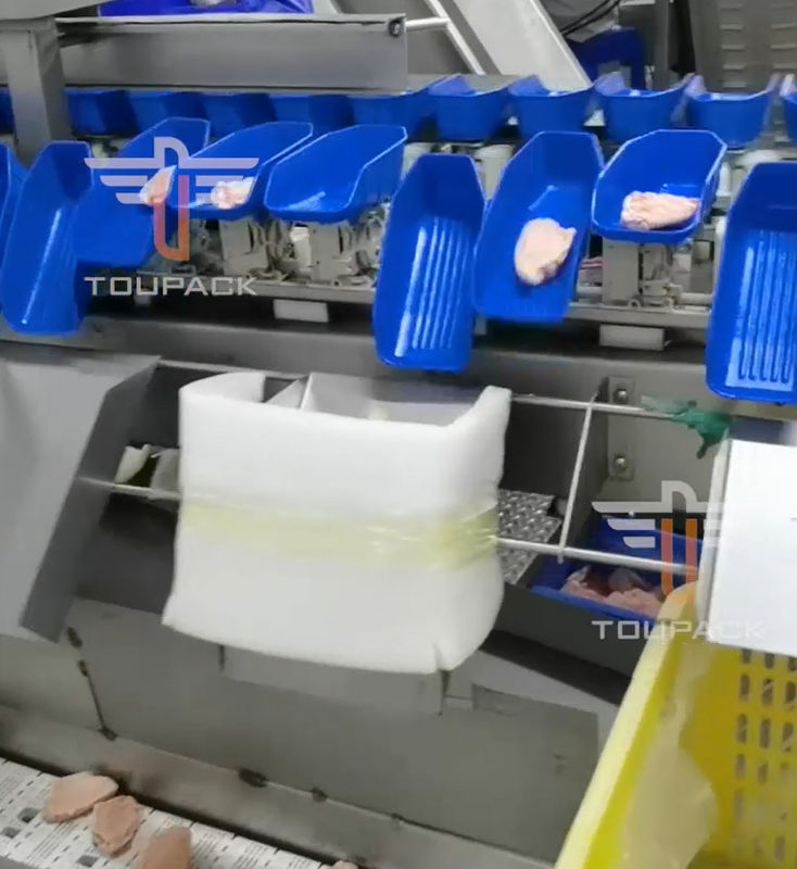 Машина Multi главного веса циркуляра безопасности сортируя для 300 раз продукта моря/минута