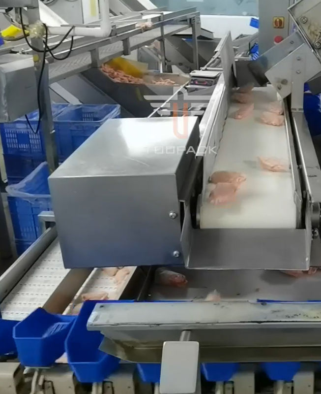 Машина Multi главного веса циркуляра безопасности сортируя для 300 раз продукта моря/минута