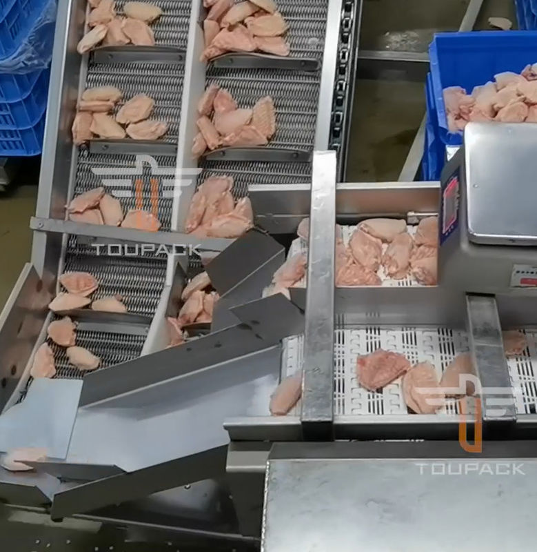 Машина Multi главного веса циркуляра безопасности сортируя для 300 раз продукта моря/минута