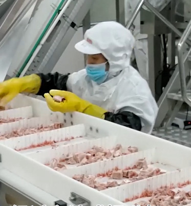 20 сумок/машина упаковки Weigher Multihead минуты для ледяного продукта косточки мяса