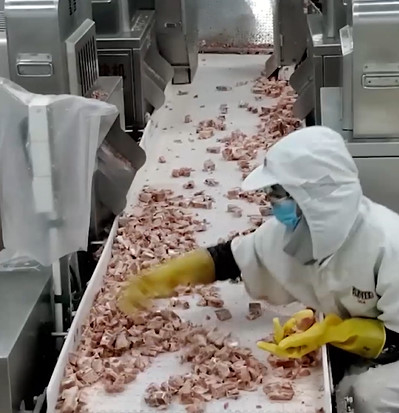 20 сумок/машина упаковки Weigher Multihead минуты для ледяного продукта косточки мяса