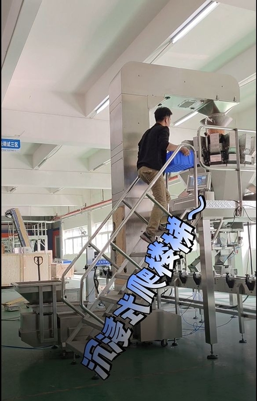 ковшевой конвейер уклона нержавеющей стали z работая с 10/14 weigher multihead голов