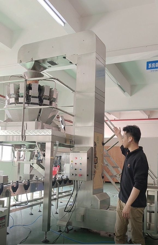 ковшевой конвейер уклона нержавеющей стали z работая с 10/14 weigher multihead голов