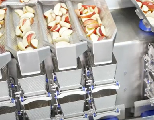 Главный Weigher комбинации 8 для свежих сваренных сумок мясного продукта 30/минуты