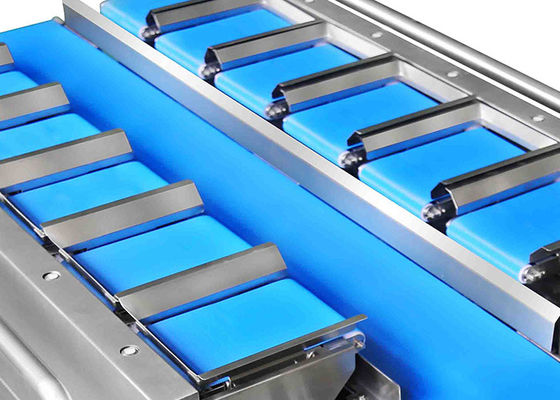 ISO аттестовал 12 Weigher овоща машины упаковки фрукта и овоща пояса IP65