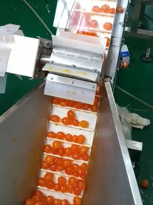 Multi желток машины упаковки вакуума Weigher сортируя и транспортируя проект