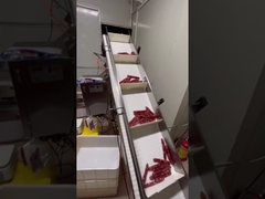 Автоматическая система взвешивания и транспортировки для колбасных изделий продолговатой формы, хот-догов