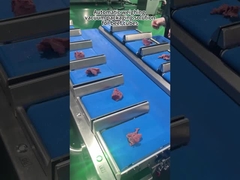 Машина для упаковки мяса с многоголовой весами