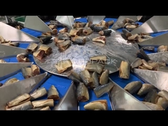 TOUPACK 14 головы многоголовый весатель для взвешивания рыбы