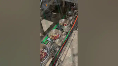 Линия упаковки смешанного корма для попугаев с 32-головочным мультиголовочным дозатором